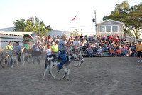 2022 Hancock County Fair Donkey Races