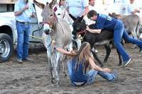 2018 Hancock County Fair Donkey Races