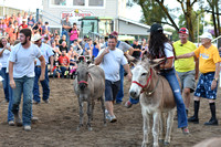 2018 Hancock County Fair Donkey Races